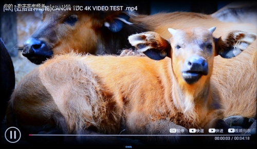 长虹chiq电视8k和4k优势,长虹电视55寸q8t评测