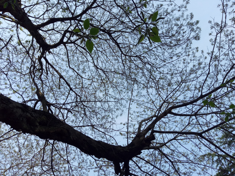 oppor9现在怎么样,用了一年的oppor9怎么样