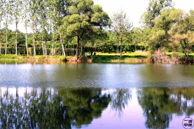 这些字儿都不认识,你是河南人吗?