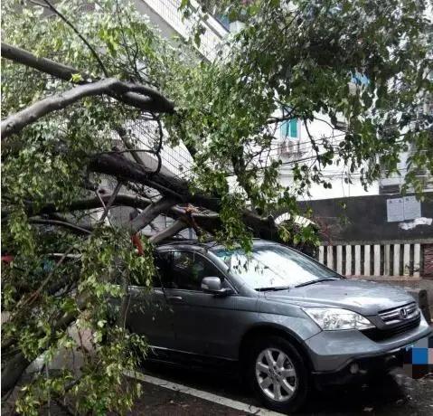 惠州天空出现奇幻景象,广州雨后现海市蜃楼