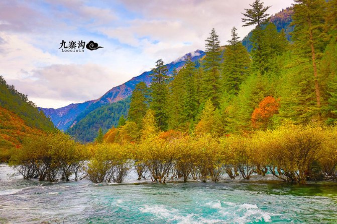 鍛宠暰娴佽繛蹇樿繑,鍛宠暰鐣欐亱