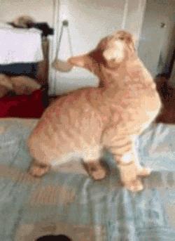 如何在大学期间长高5cm？