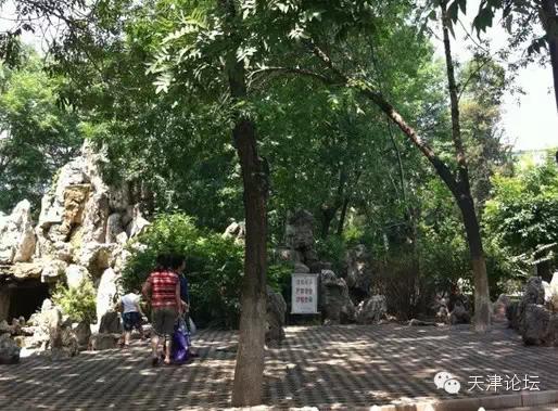 天津最值得去的公园排名榜前十,天津津南区值得游玩的公园
