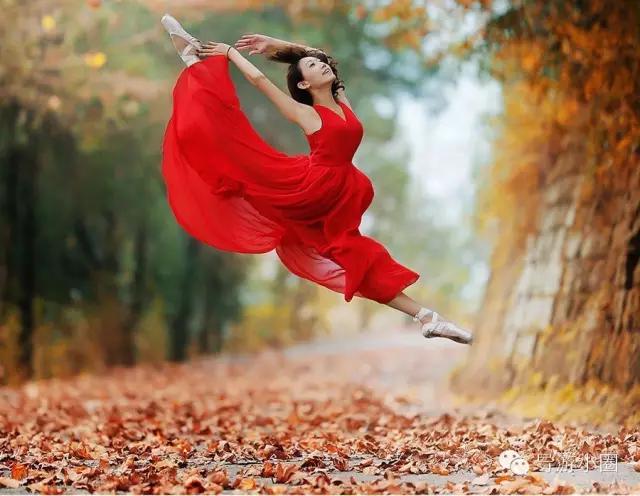 一个导游的成长之路,一个导游的自我修养