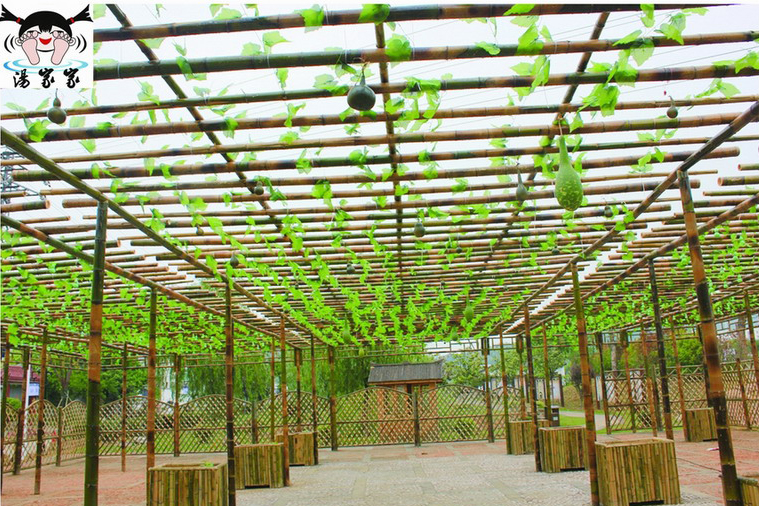 南京江宁踏春好去处,江宁踏春好地方