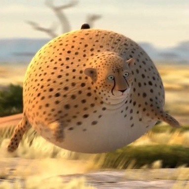 喝凉水都胖,喝凉水都胖的原因是