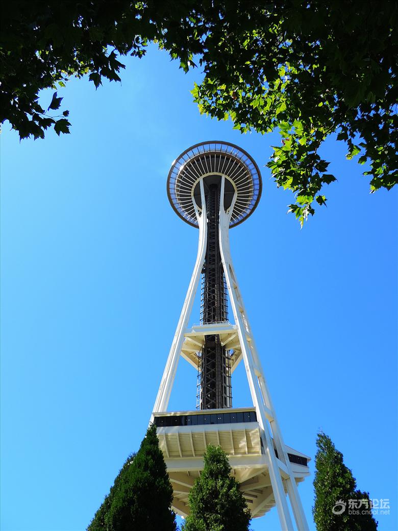 西雅图油价,西雅图油价多少钱