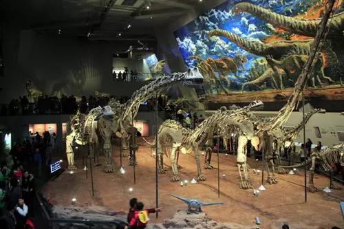 婊℃弧鐨勯兘鏄瘹鎰忓拰绂忓埄,90%鐨勬湰鍦颁汉閮戒笉鐭ラ亾鐨勯噸搴嗗喎鐭ヨ瘑