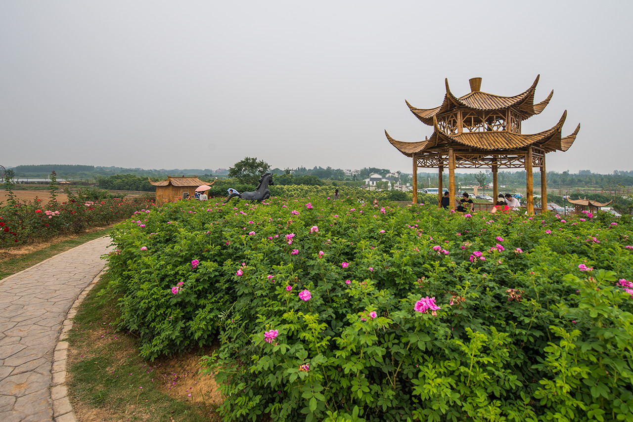 南京江宁踏春好去处,江宁踏春好地方