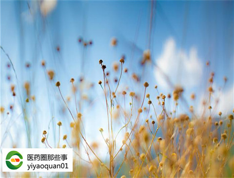 不做检查拒开药!你这是要逼良为娼啊?