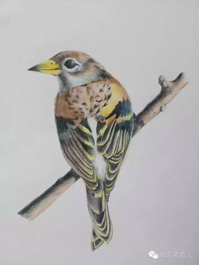 带着书本去旅行绘画,带着旅行箱去旅行绘画