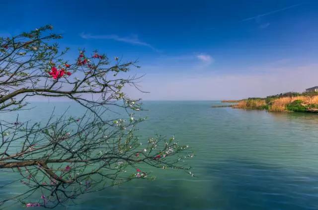 江浙沪皖好玩民宿,江浙沪绝美温泉民宿