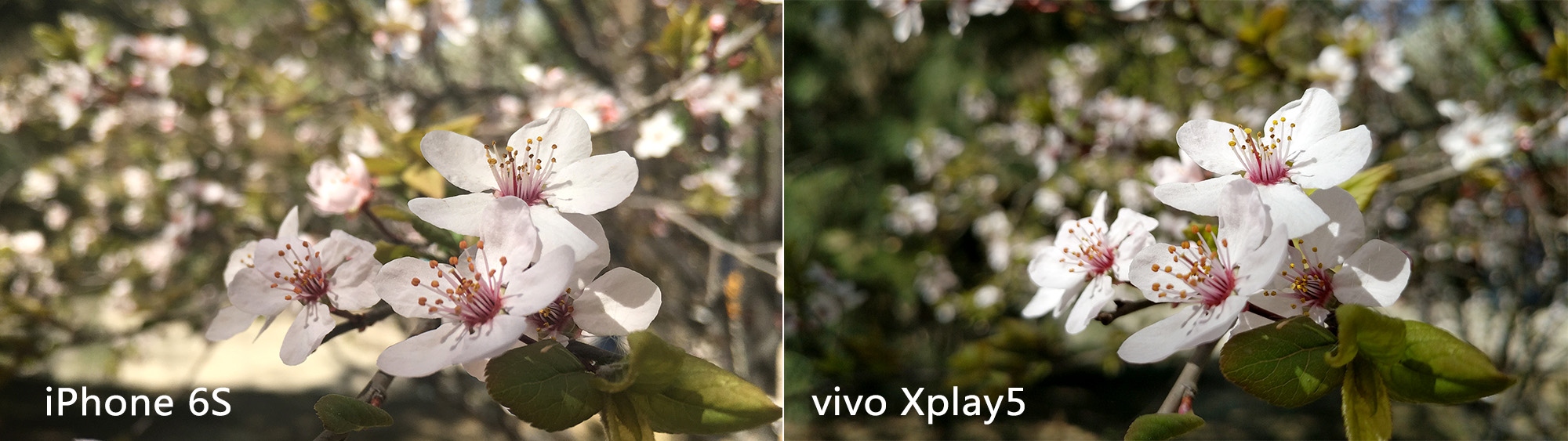 vivoxplay5测试,vivoxplay5有多震撼