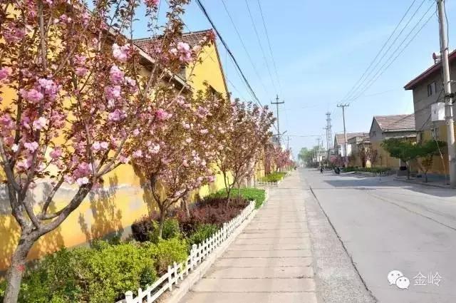 临淄:特色小镇的春天——金岭敬仲朱台齐陵