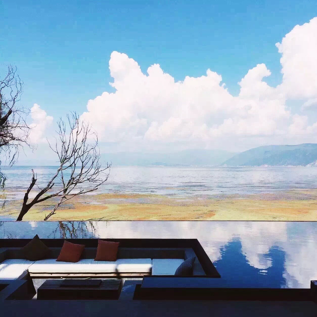 又到了动物们交配的季节，请站在宇宙中心用力呼唤爱！