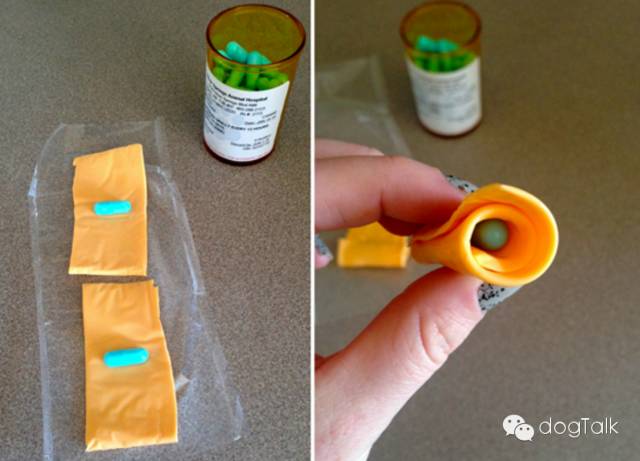 狗狗死活不回家怎么办,狗狗死活喂不进去药怎么办