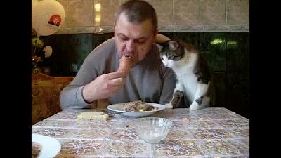 橘猫开门乱窜,橘猫跑到车里怎么办