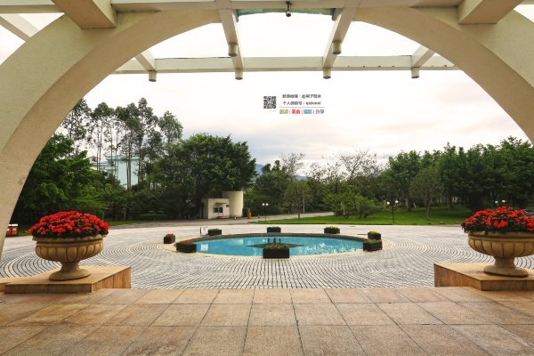 有一种春天叫牡丹花开,有一种春天叫花开艳丽