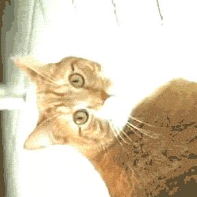 你的银行卡密码是多少什么梗,怎么确保自己的银行卡安全