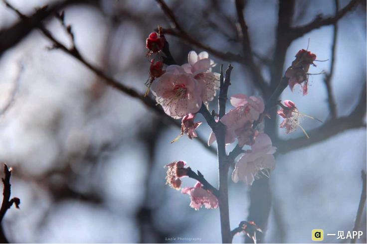 你是我错过的友情还是爱情,你是我错过的美丽