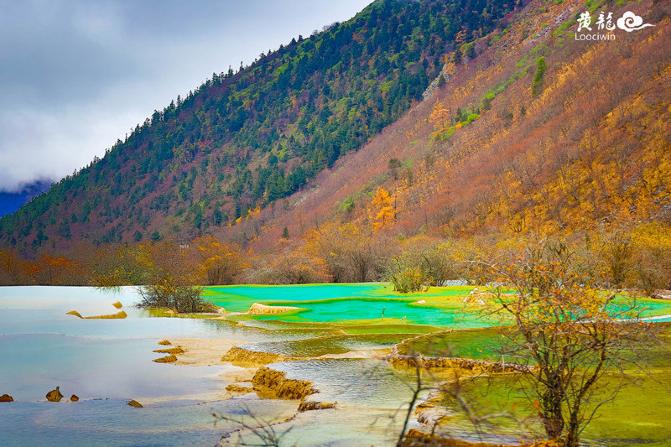 鍛宠暰娴佽繛蹇樿繑,鍛宠暰鐣欐亱