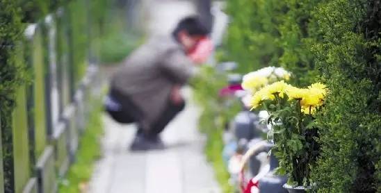 清明假期苏州旅行注意事项,清明小长假第1天苏州