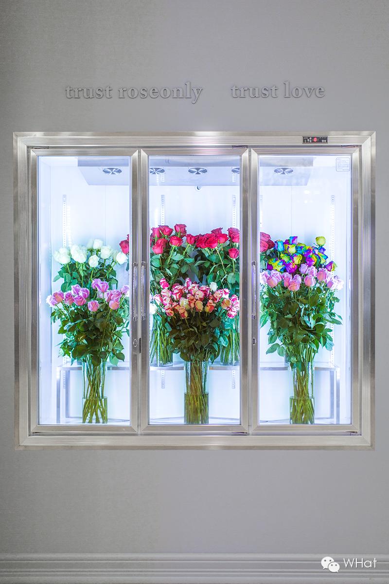 循礼门鲜花市场单支玫瑰多少钱,循礼门鲜花市场玫瑰多少钱一支