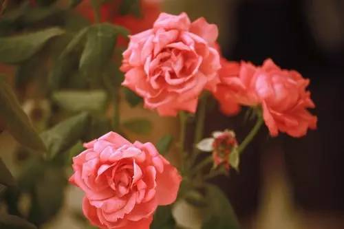 photoshop教程最简单的教程,photoshop照片后期教程