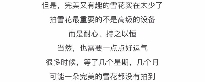 摄影最美人物照片,摄影人的第一张照片