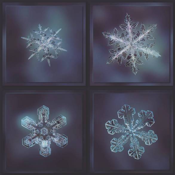 摄影最美人物照片,摄影人的第一张照片