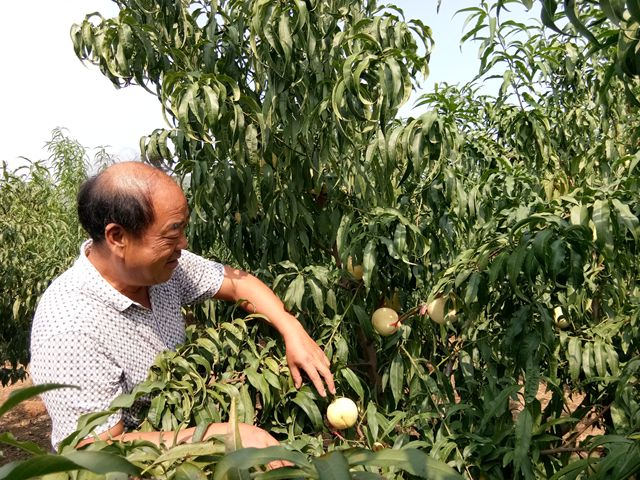 兰陵县尚岩镇惠东社区,尚岩镇惠东社区