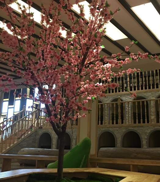 苏州新一轮冷空气来袭,新一轮强冷空气来袭苏州