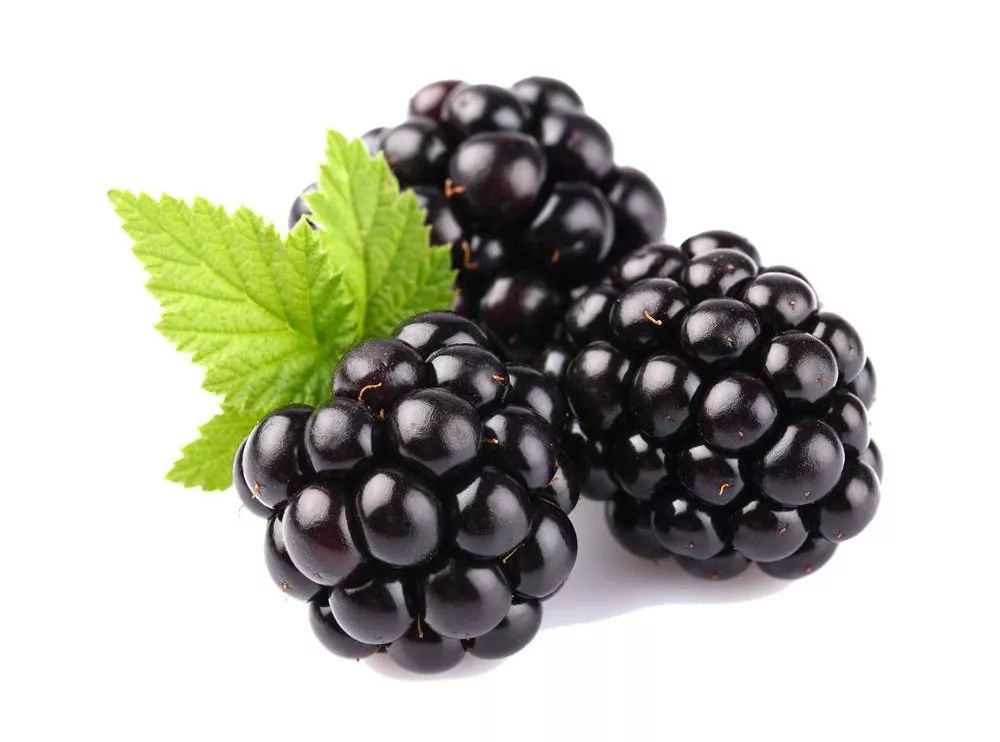 中医说｜你的蔬果护眼包已到，请查收～