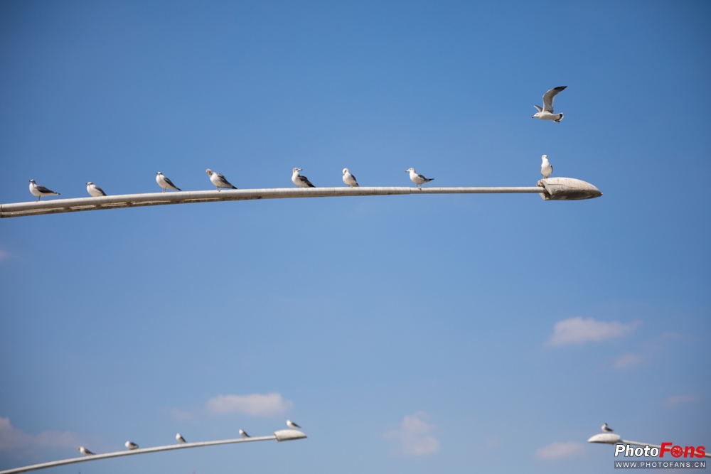 适马18-50mmf2.8缺点和不足,适马24-70f2.8和适马三剑客怎么选