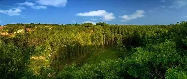 什么？在洞穴赏樱看雪学手艺？看她怎么把废弃洞穴改成浪漫居所