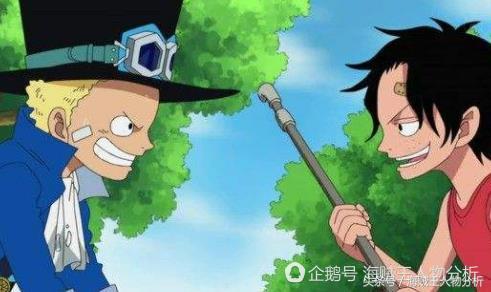 海贼王中所有的恶魔果实,海贼王所有恶魔果实动物系