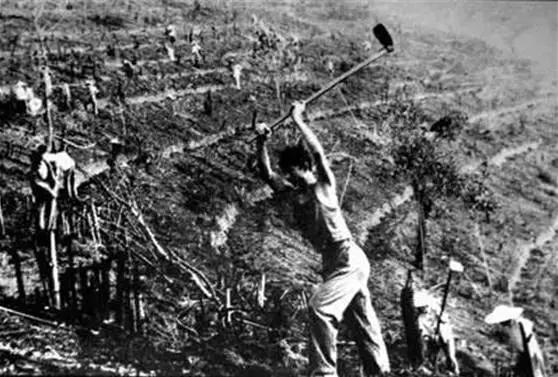 17岁落魄街头，他靠*血卖**度日，如今身价百亿娶泰国公主