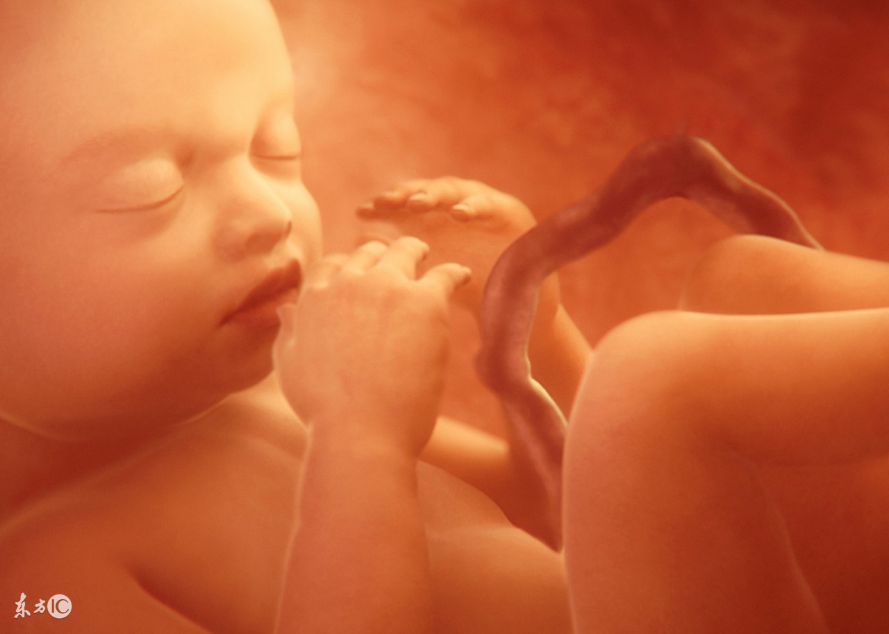 避免胎儿畸形孕妇远离4种东西,孕妇接触了有害液体