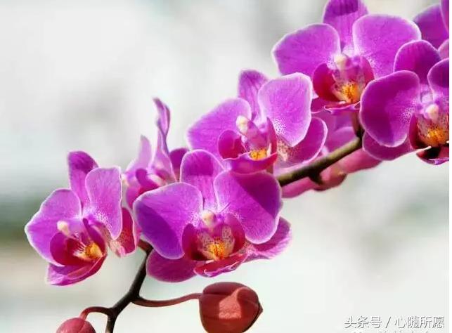 内服外用维生素e和c能祛斑吗,美容圣品维生素e的外用方法