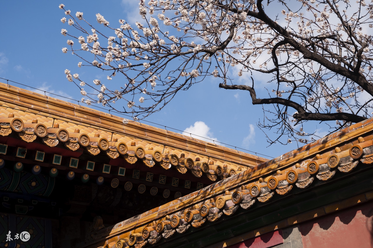 超广角镜头的含义,什么算广角镜头