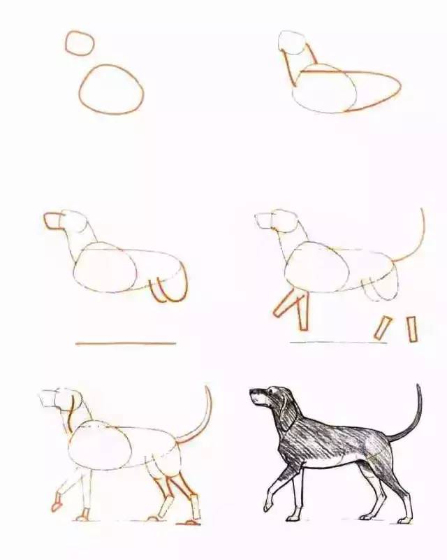 你要的简笔画,你想画的简笔画简单一点