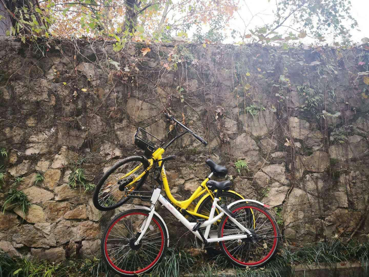 手拍世界作品集402期,2022年世界手机摄影大赛征稿