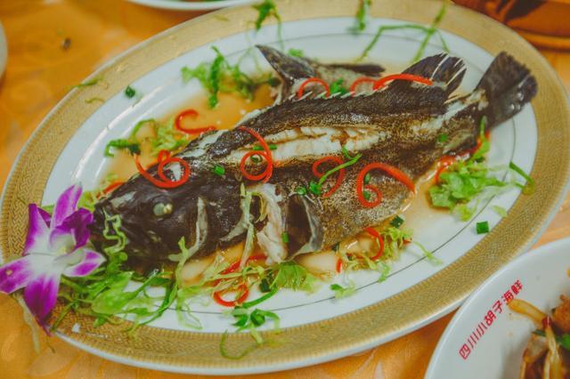 带上父母去看海完整视频,带你去三亚一起看海享受亲子时光