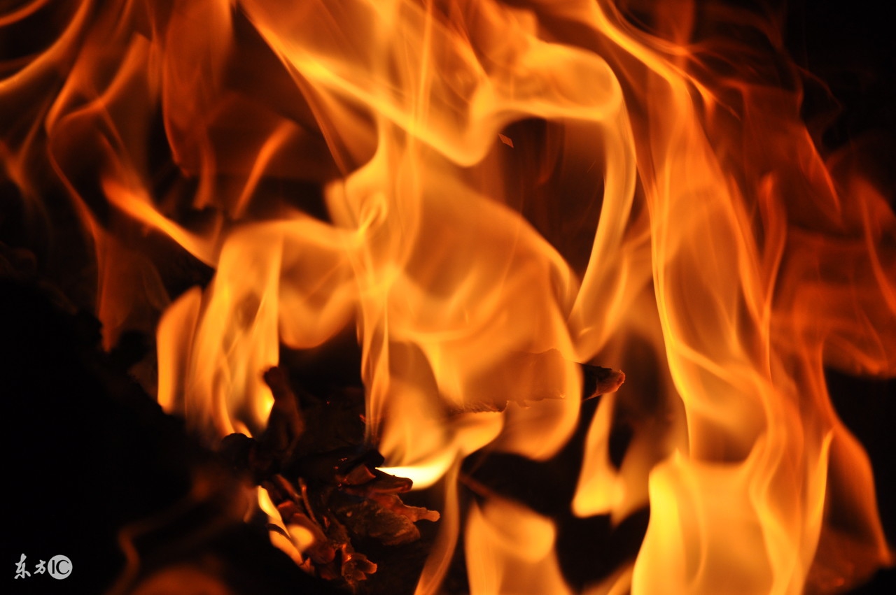 金木水火土你属什么,金木水火土你是哪种命