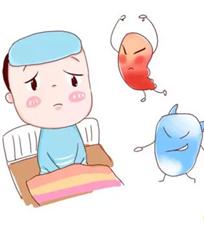 奶粉中乳糖的危害,宝宝感染沙门氏菌怀疑是奶粉问题