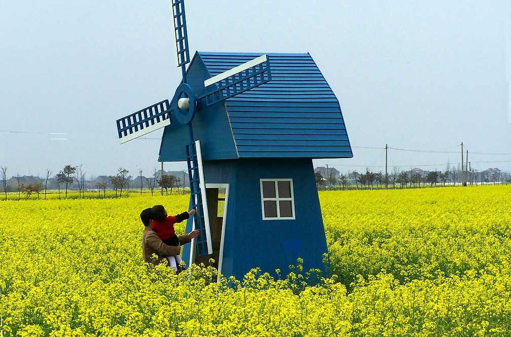 世界各国标志性建筑高度排名,上海十大标志性建筑