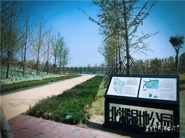 郑州公园推荐免费十一月,郑州免费公园景点推荐