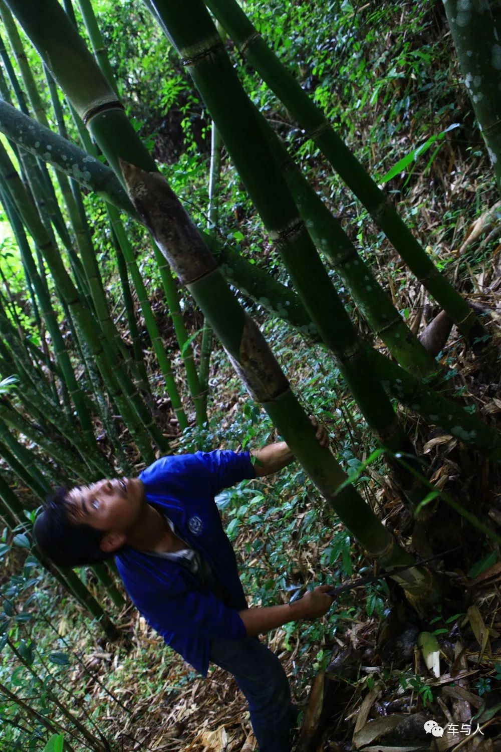 腾冲一个清净古朴的边陲小城,腾冲避暑旅居推荐