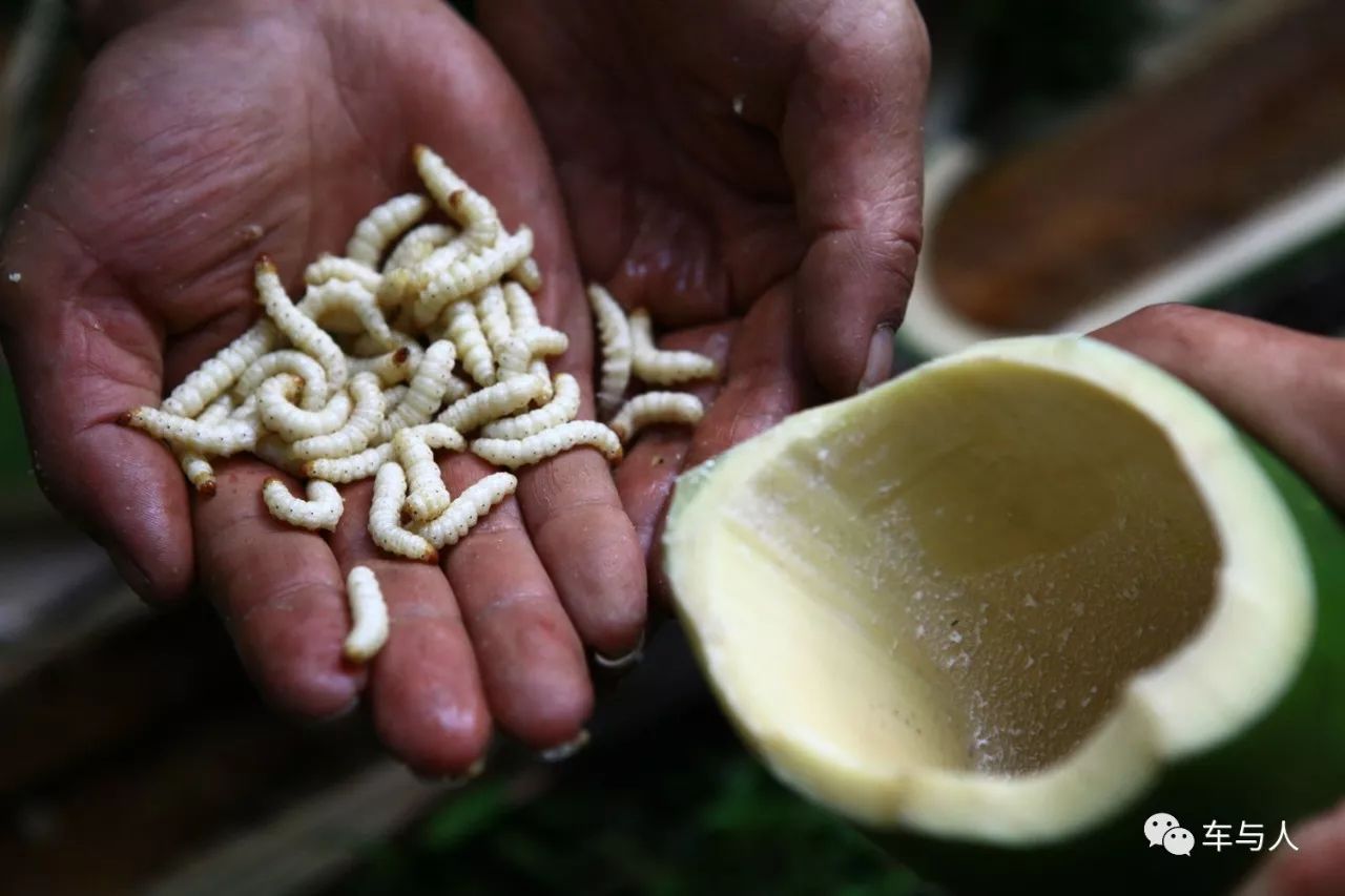 腾冲一个清净古朴的边陲小城,腾冲避暑旅居推荐