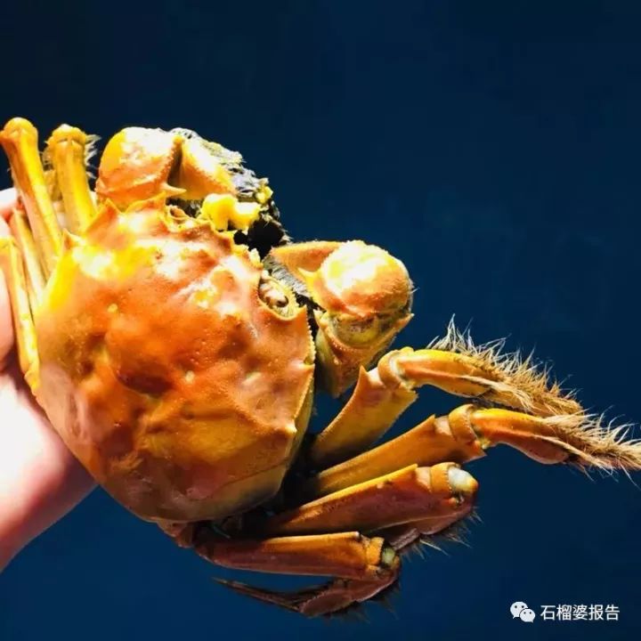 一天能赚几百块的副业,有没有每天可以赚300的兼职